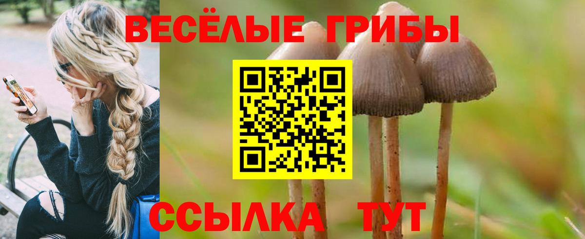 Галлюциногенные грибы мухоморы Нижнекамск