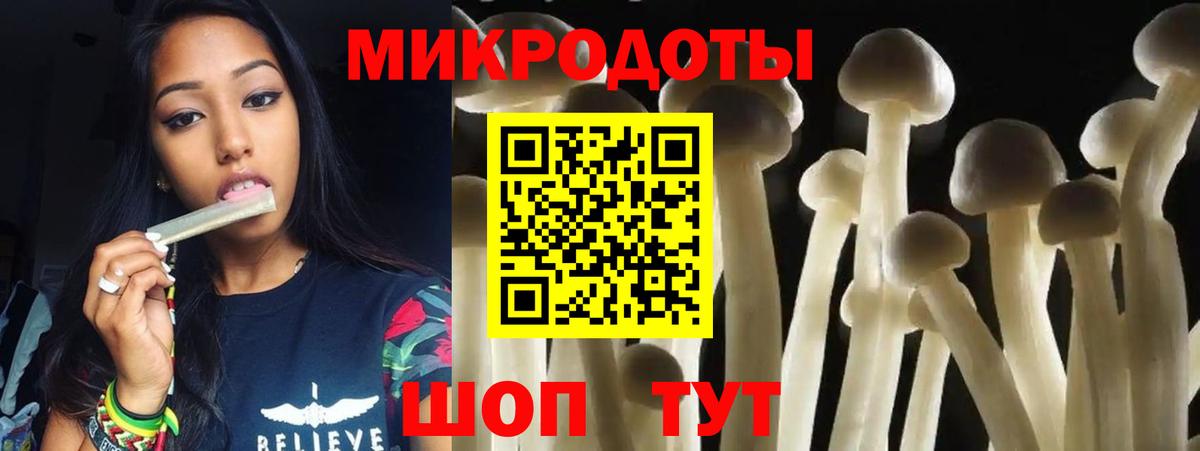 Галлюциногенные грибы Psilocybine cubensis  Вход с VPN  Нижнекамск 